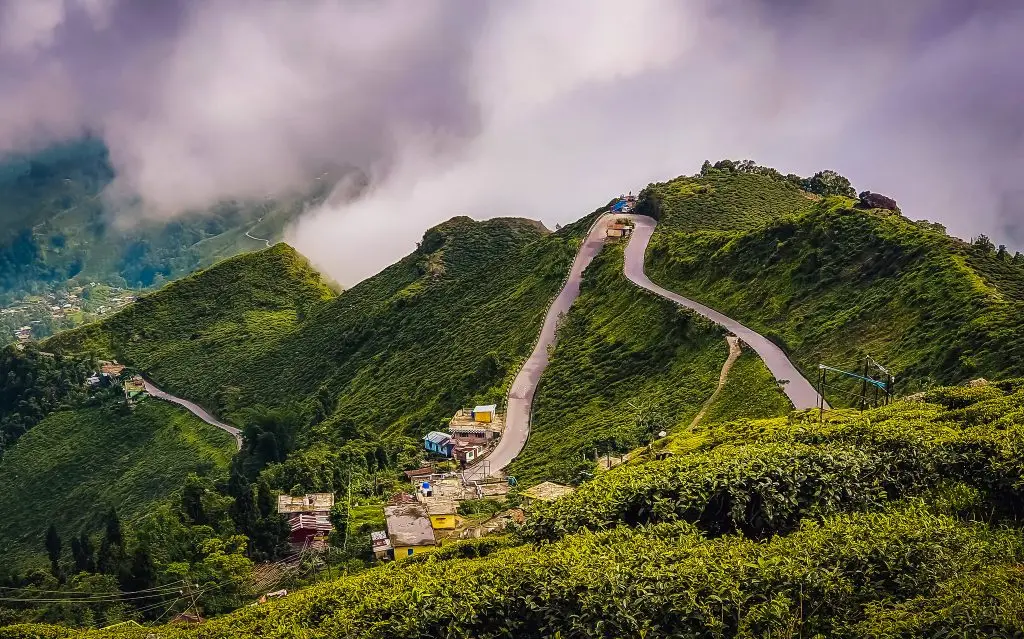 Darjeeling-1024×639