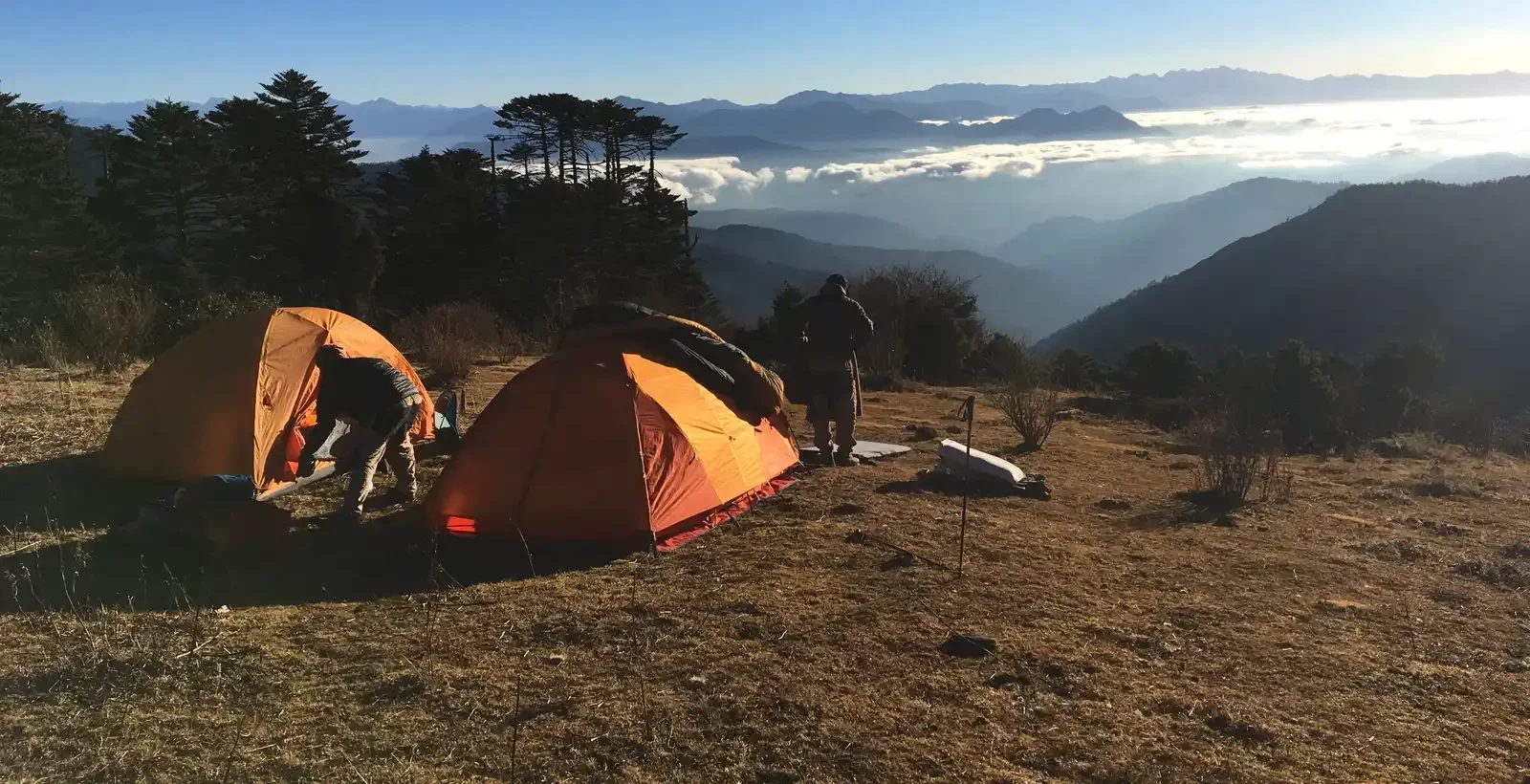 01H8XYVGKMZN7Y9S15WA66F96W