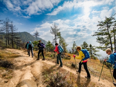 Treking
