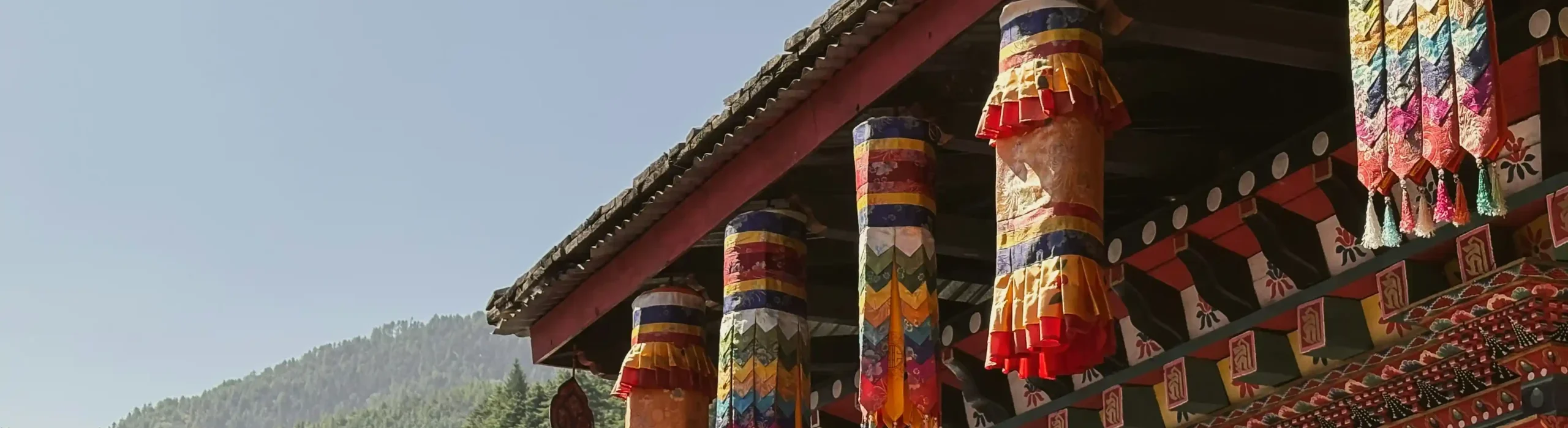 rama-krushna-behera-FE-QkZGPPOA-unsplash