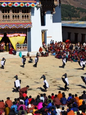 Black-Necked-Crane-Festivals