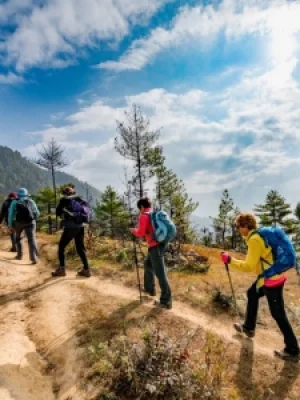 Treking