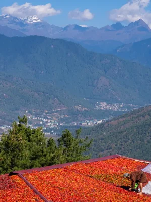 By Marcus Westberg _Thimphu_2023_22