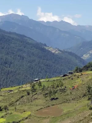 DISCOVERING-THE-HAA-VALLEY-IN-BHUTAN.jpeg