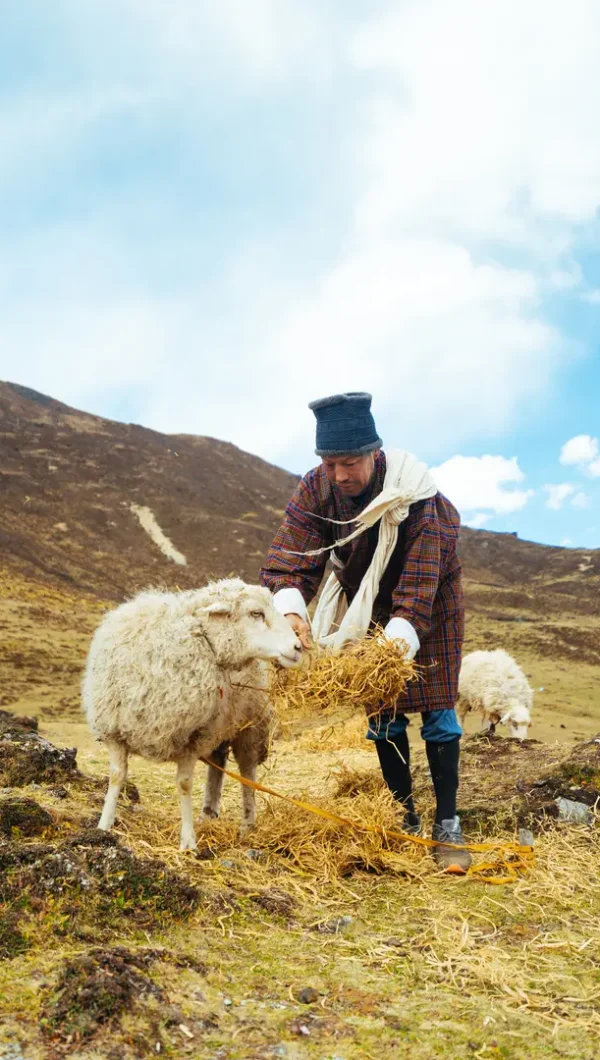 DSC01314