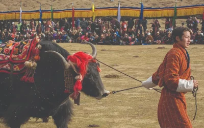 Royal Highland Festival-1