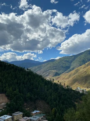 sonam-yangden-cVSzXANayHE-unsplash