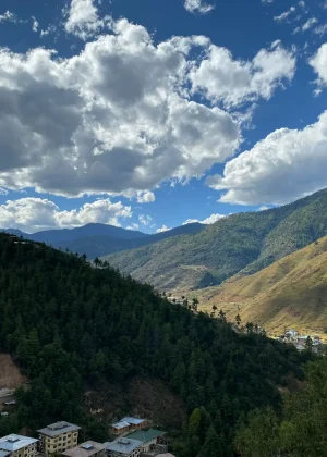 sonam-yangden-cVSzXANayHE-unsplash