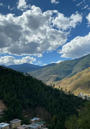 sonam-yangden-cVSzXANayHE-unsplash