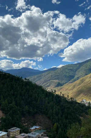 sonam-yangden-cVSzXANayHE-unsplash