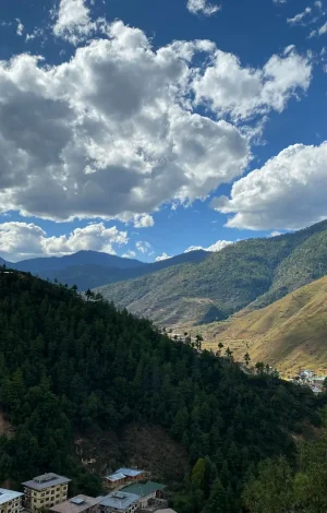 sonam-yangden-cVSzXANayHE-unsplash