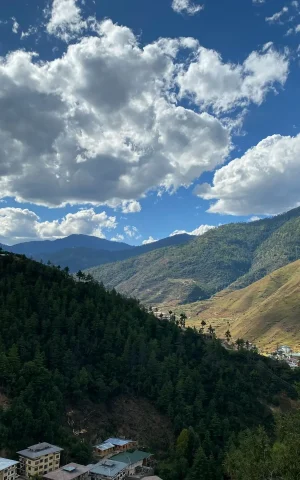 sonam-yangden-cVSzXANayHE-unsplash