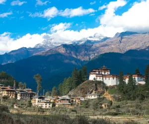 ugyen-tenzin-OkvqWRR0jhc-unsplash