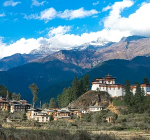 ugyen-tenzin-OkvqWRR0jhc-unsplash