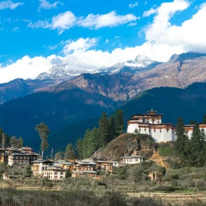 ugyen-tenzin-OkvqWRR0jhc-unsplash