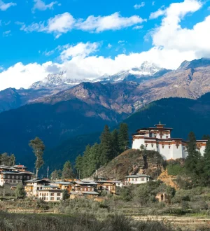 ugyen-tenzin-OkvqWRR0jhc-unsplash