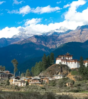 ugyen-tenzin-OkvqWRR0jhc-unsplash