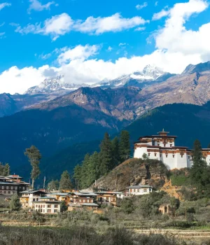 ugyen-tenzin-OkvqWRR0jhc-unsplash