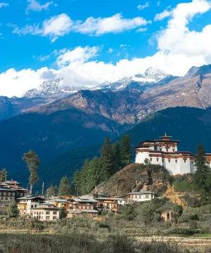ugyen-tenzin-OkvqWRR0jhc-unsplash
