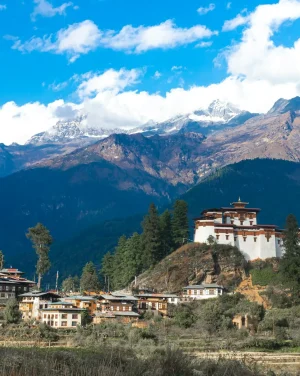 ugyen-tenzin-OkvqWRR0jhc-unsplash
