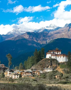 ugyen-tenzin-OkvqWRR0jhc-unsplash