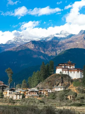 ugyen-tenzin-OkvqWRR0jhc-unsplash
