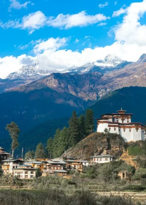 ugyen-tenzin-OkvqWRR0jhc-unsplash