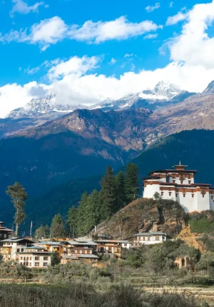 ugyen-tenzin-OkvqWRR0jhc-unsplash