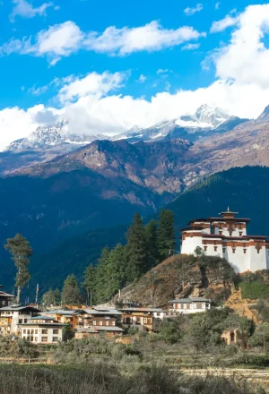ugyen-tenzin-OkvqWRR0jhc-unsplash