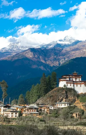 ugyen-tenzin-OkvqWRR0jhc-unsplash