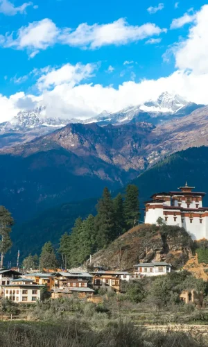 ugyen-tenzin-OkvqWRR0jhc-unsplash