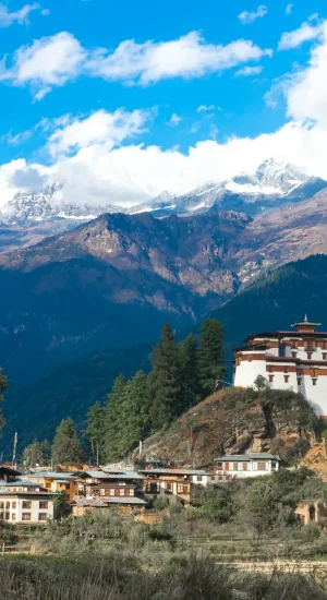 ugyen-tenzin-OkvqWRR0jhc-unsplash
