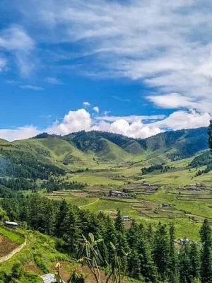 visit-phobjikha-valley