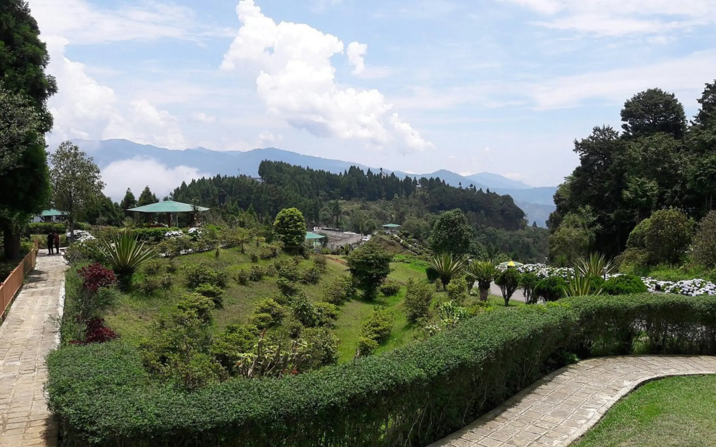 Excursion to Mirik Lake (12)