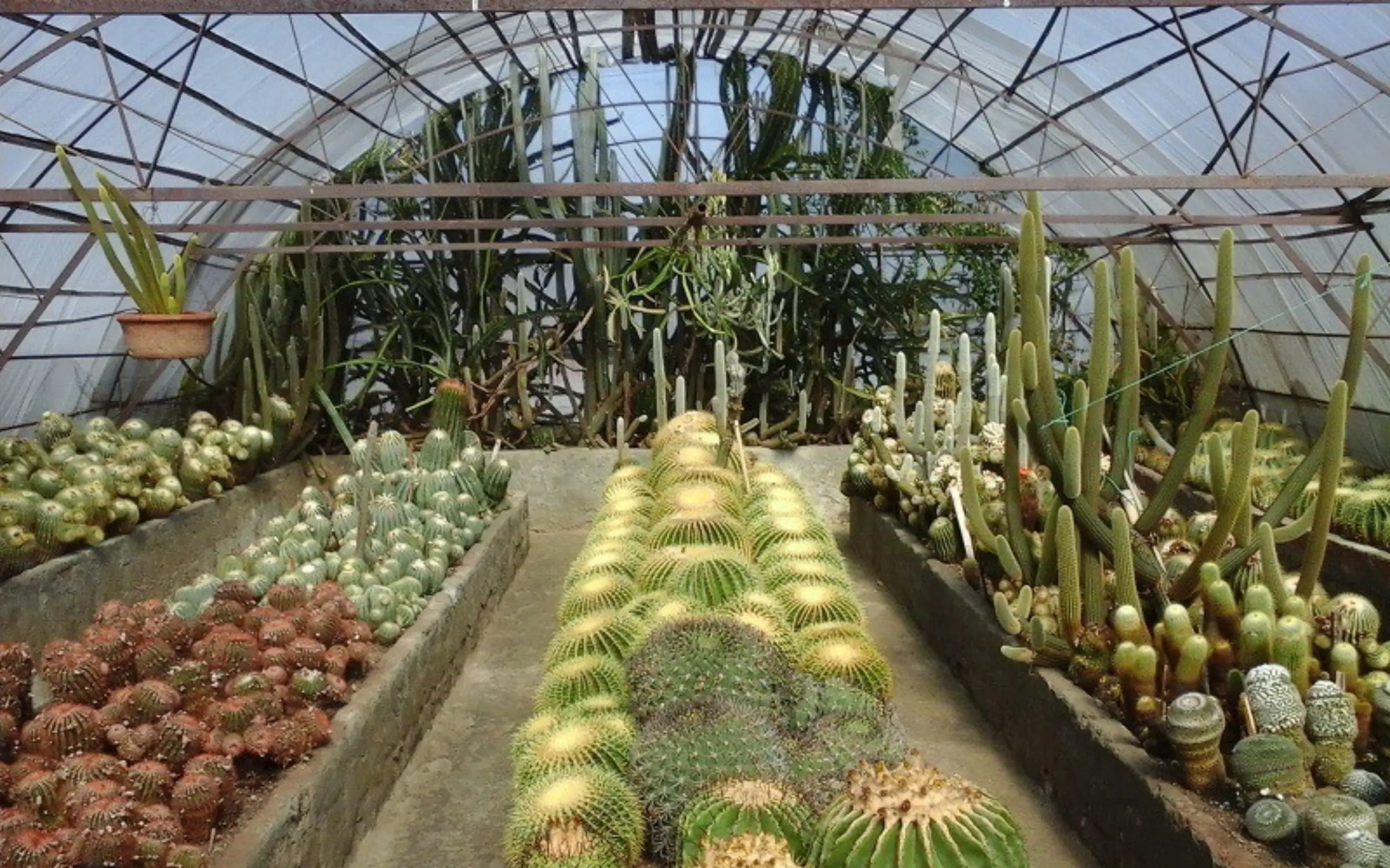 Excursion to Mirik Lake (14)