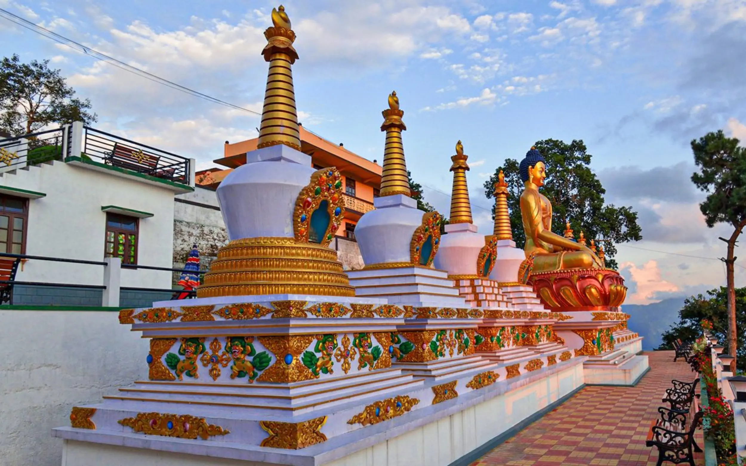 Where does it come from?