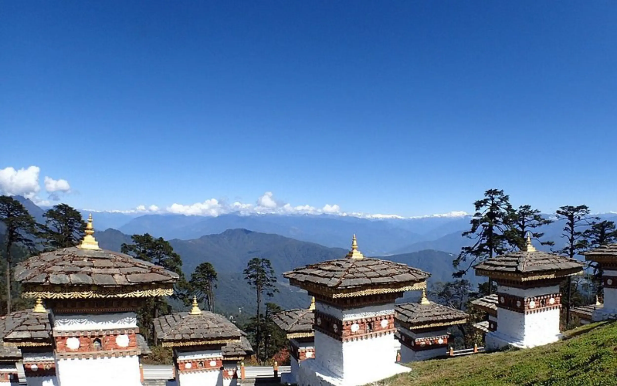 Untitled design – 2026-03-12T202004.388