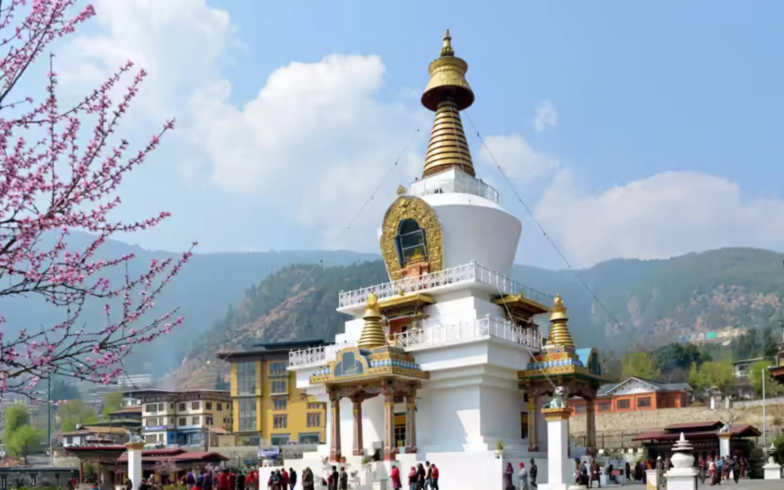 Untitled design – 2026-03-12T203639.147