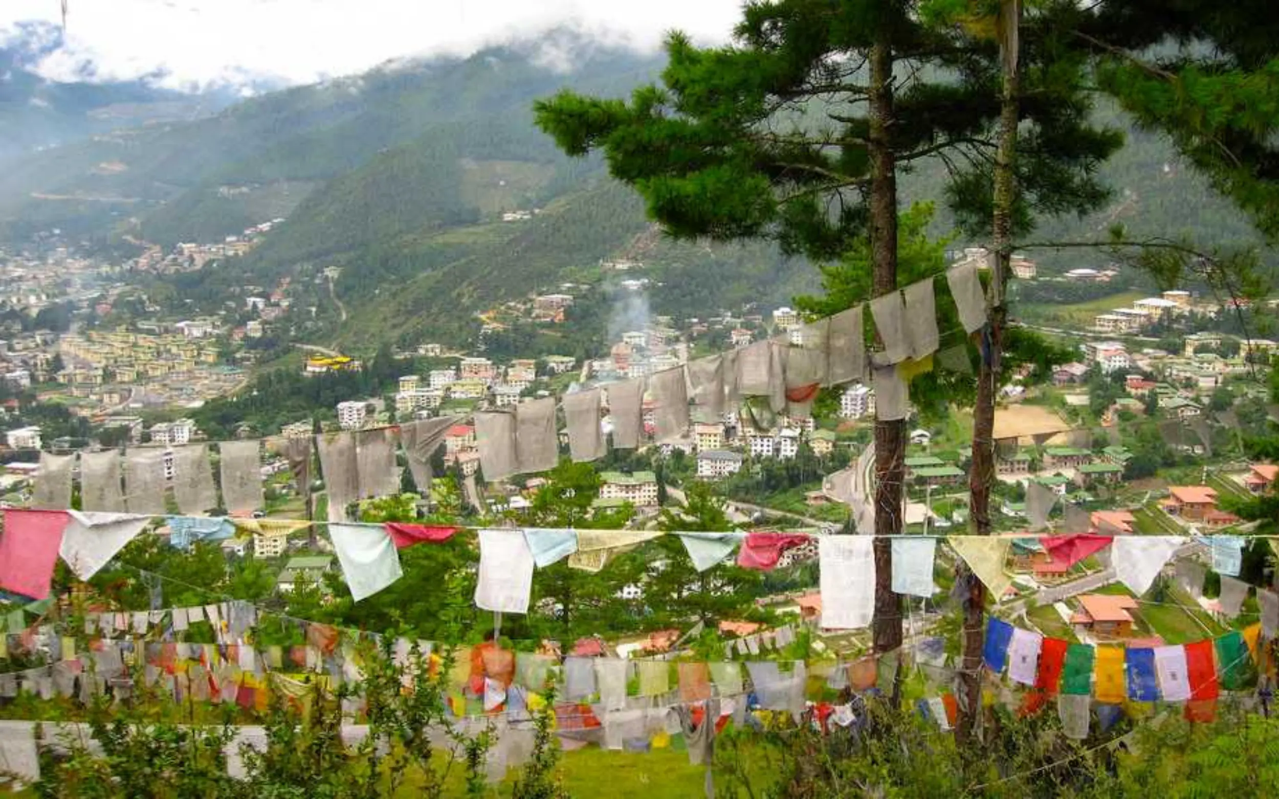 Untitled design – 2026-03-12T203716.339