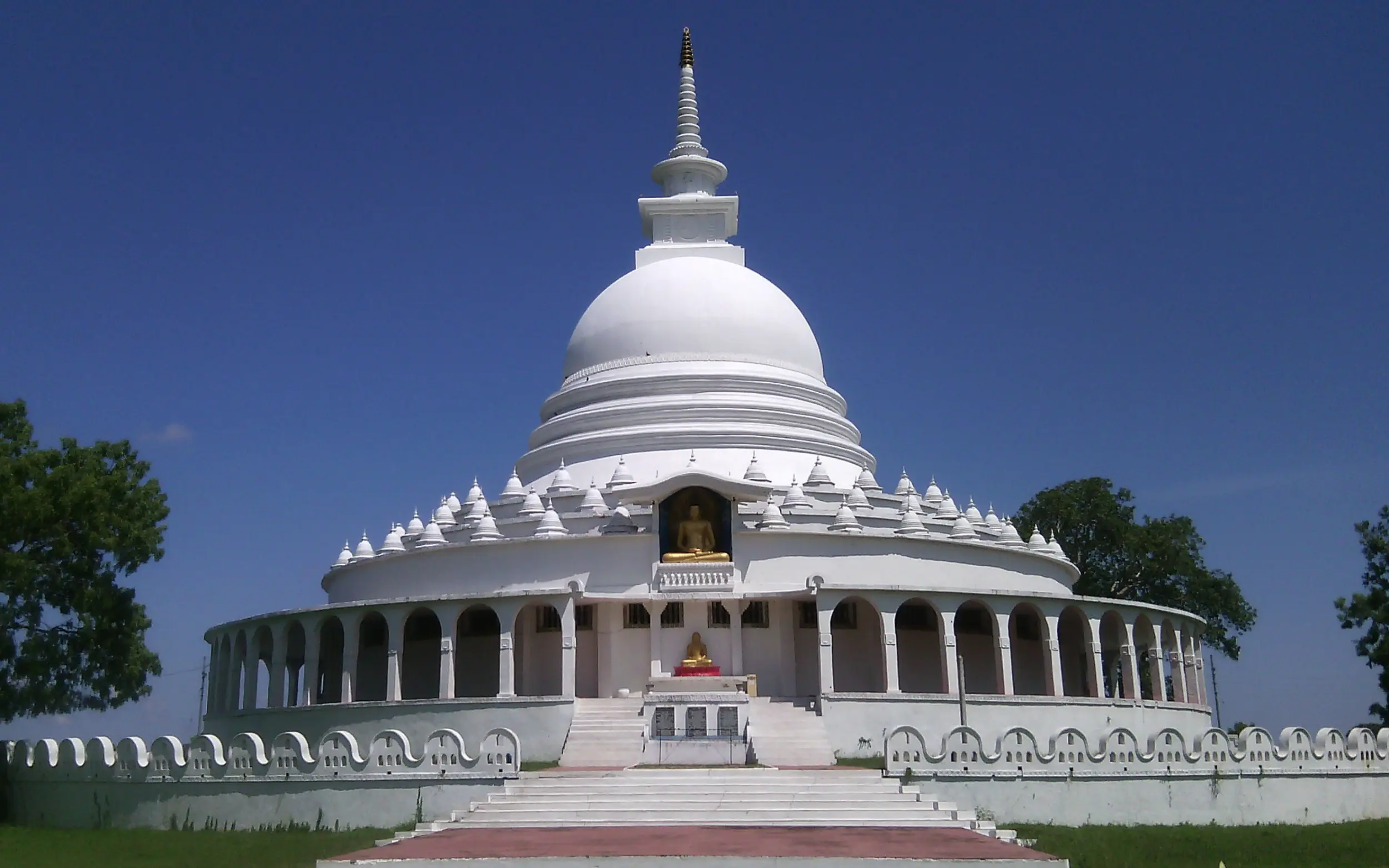 Where can I get some?