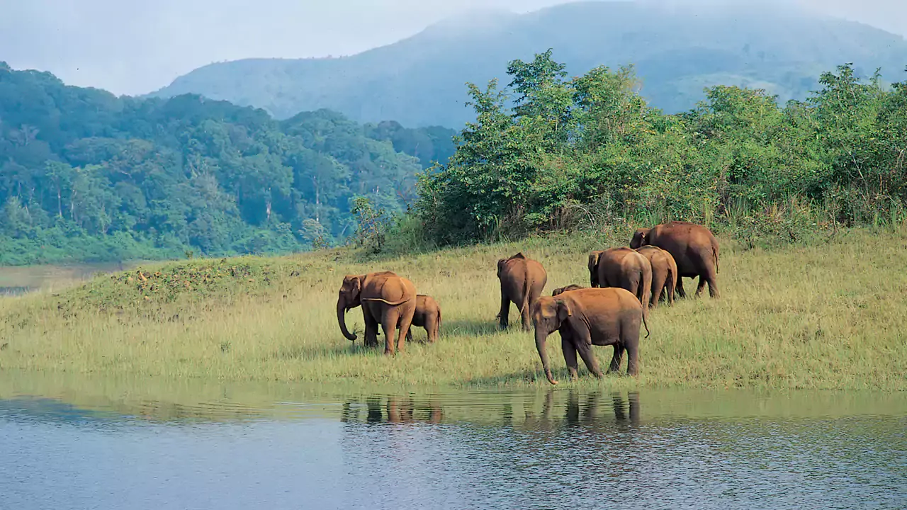 Periyar-Wildlife