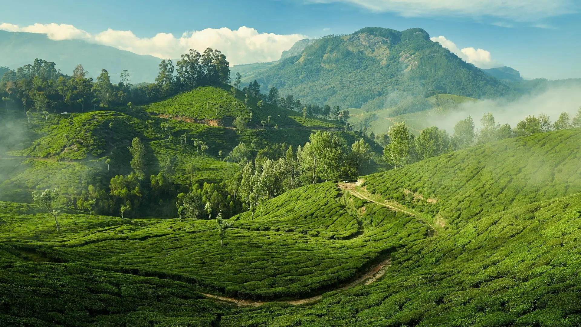 gap-road-munnar03