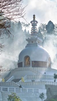 Darjeeling-feature