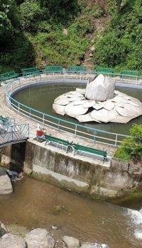 Rock Garden