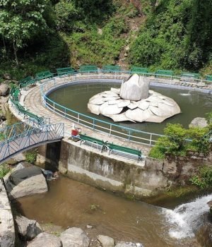 Rock Garden